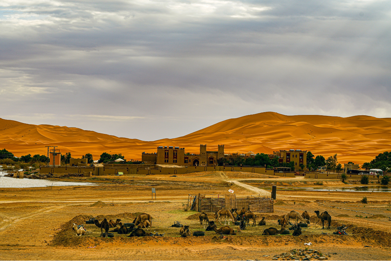 Elbaz Tours Merzouga Desert Merzouga Desert Tour, Sahara Camel Trek