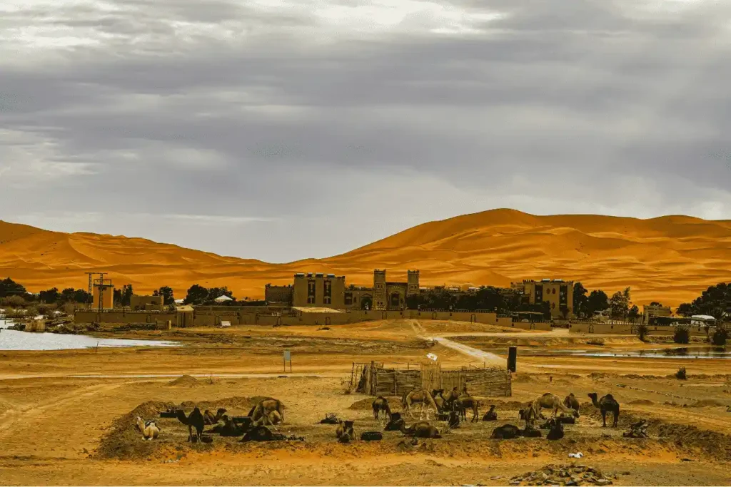 Merzouga Desert